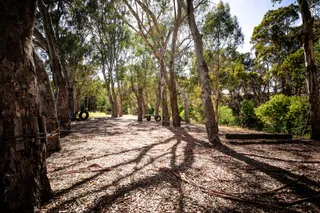 Baptist Care SA - Mylor Adventure Camp