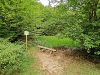 Silberweiher