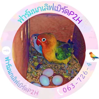 บ้านนกแก้วฮาชิฮาคิน