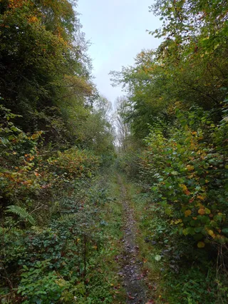 Chedworth Nature Reserve