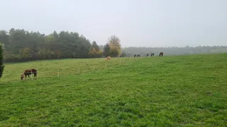 Stajnia Rancho Pasja