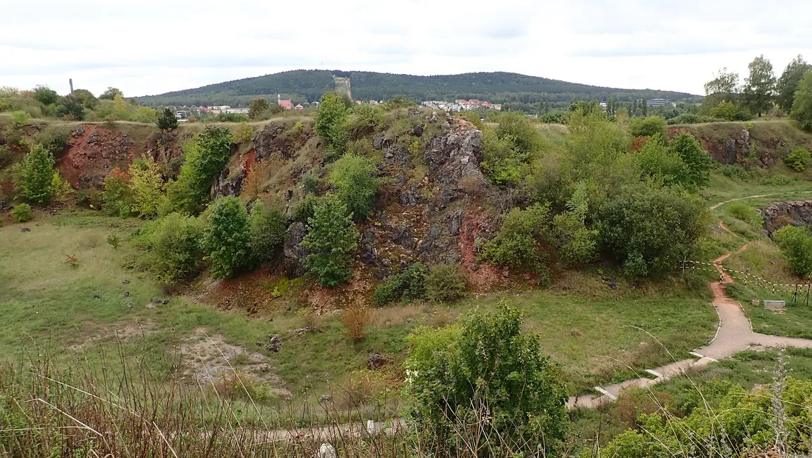 Rezerwat Przyrody Wietrznia im. Zbigniewa Rubinowskiego