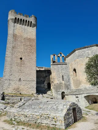 Abbaye de Montmajour