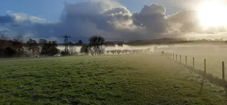 Widbrook Wood (Wiltshire Wildlife Trust)