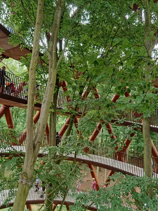 Skovtårnet (Forest Tower)