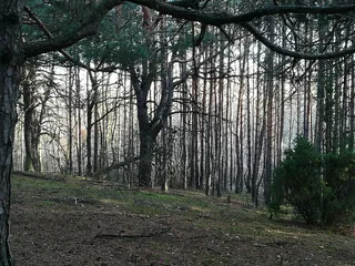 Góra Raabego