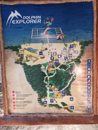 Dolphin Explorer