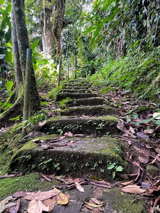 La Carpintera Canopy Tour