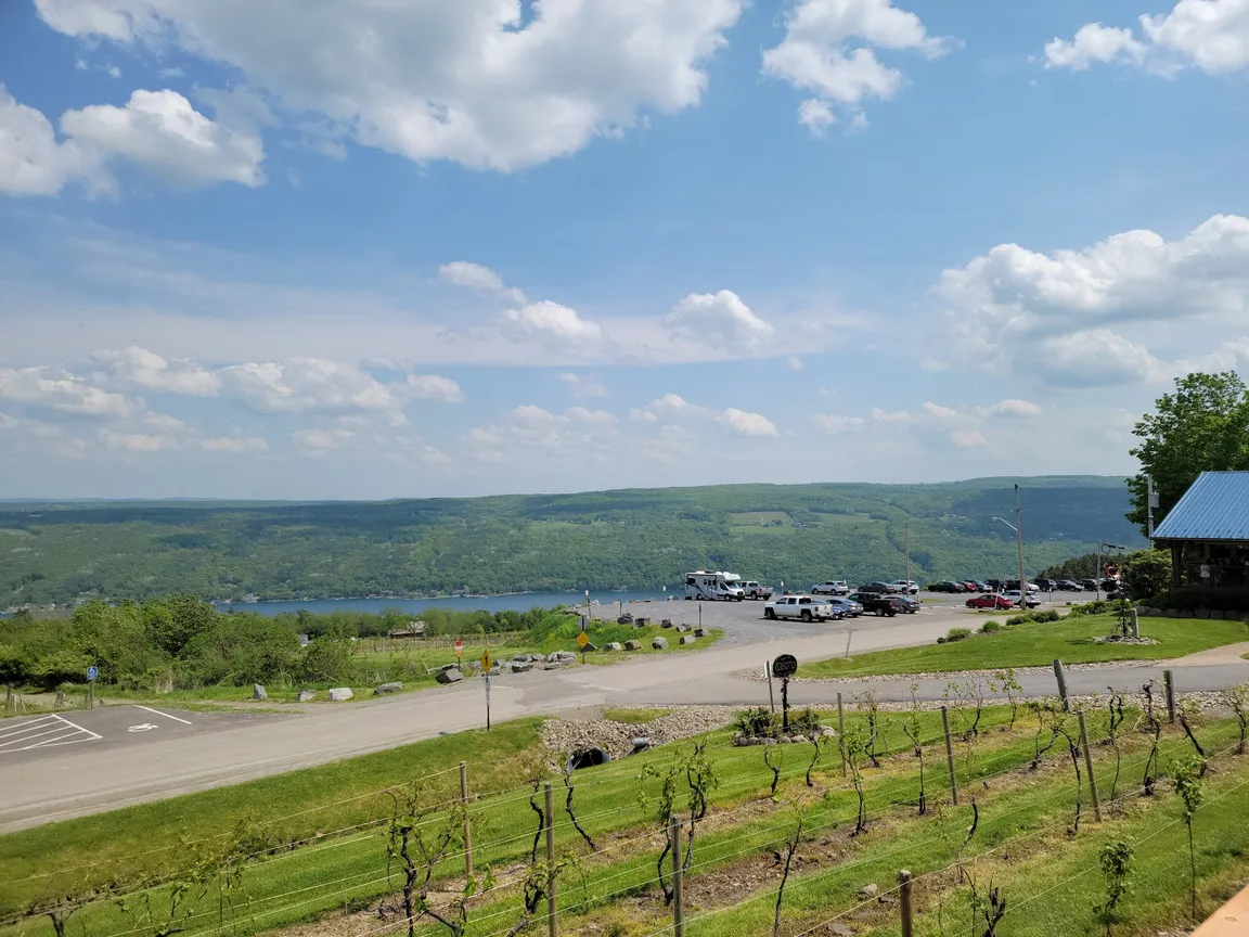 Bully Hill Vineyards