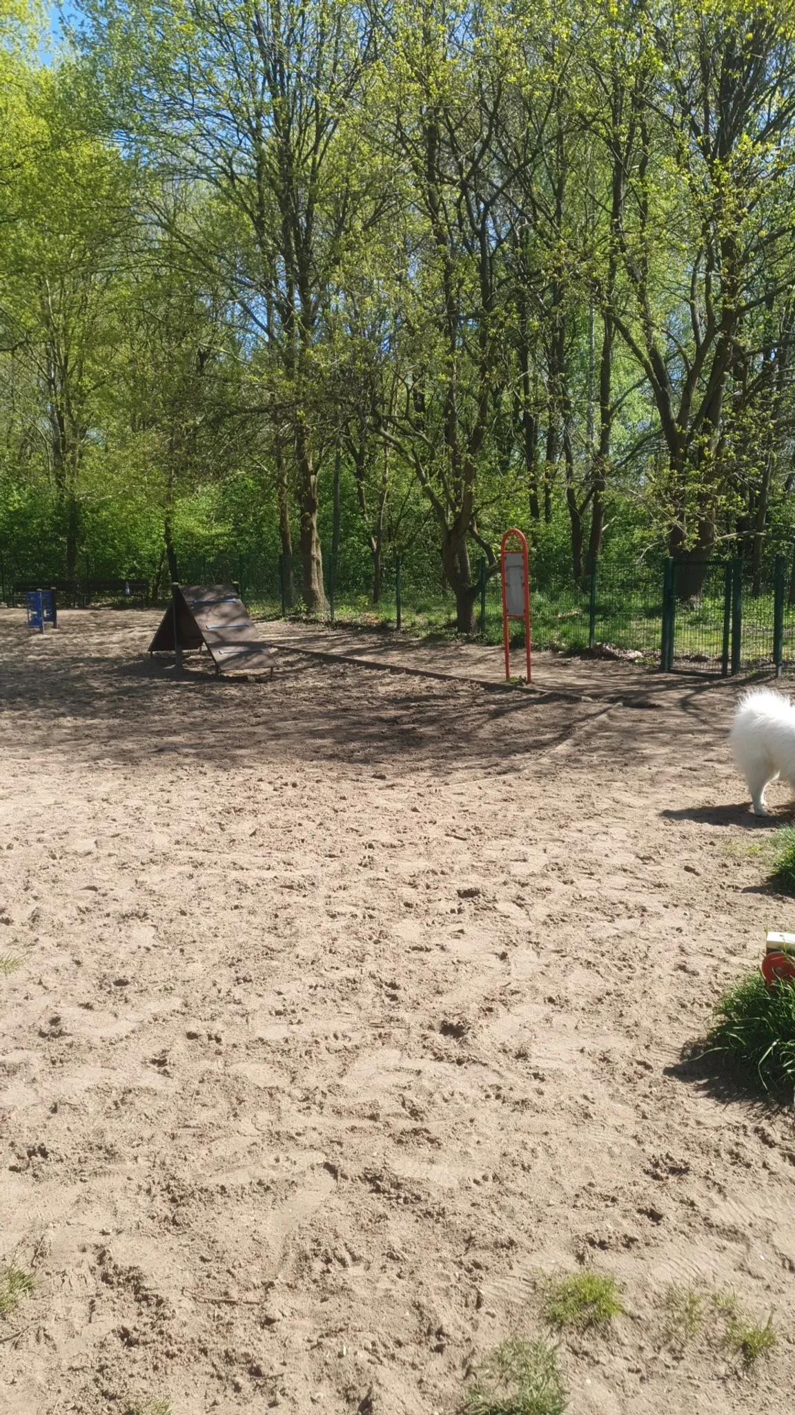 Park Zabaw Dla Psów "Ogródek Agility”