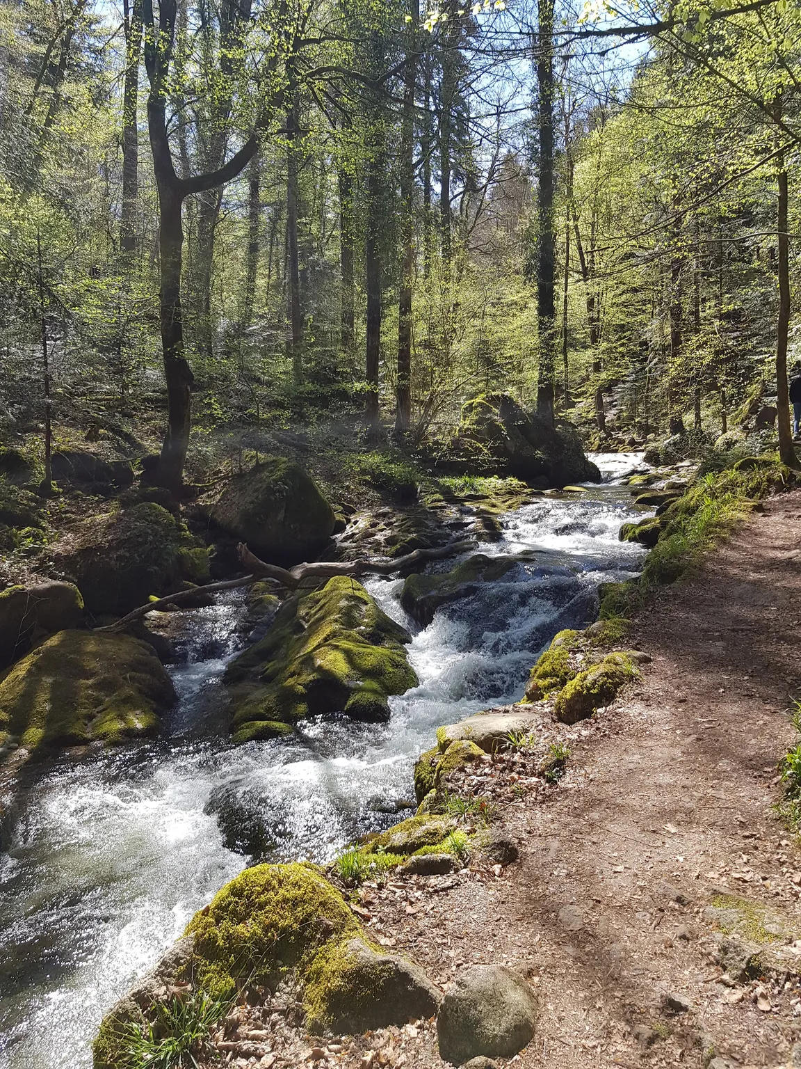 Kreuzfelsen (Bernickelfelsen)