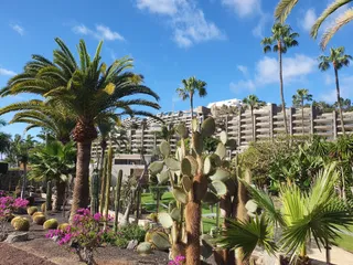 Playa Anfi del Mar