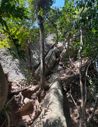 Trekking