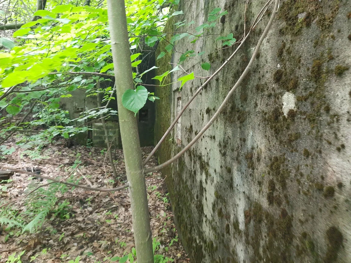 Schron bojowy nr 44, Obszar Warowny Śląsk Schron Diabła