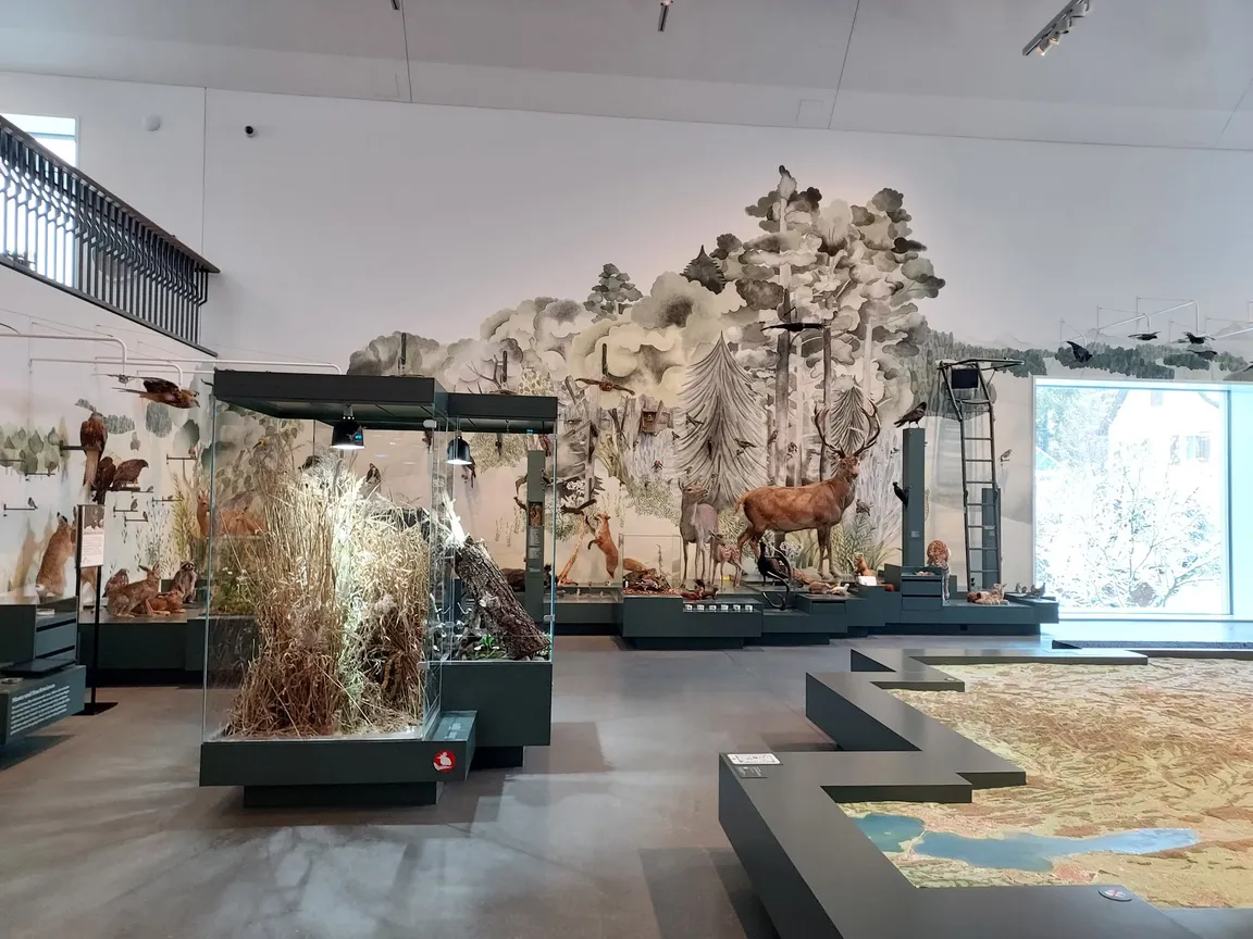 Natural History Museum St. Gallen