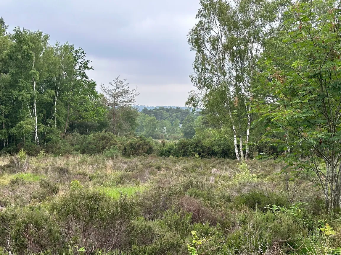 Lightwater Country Park