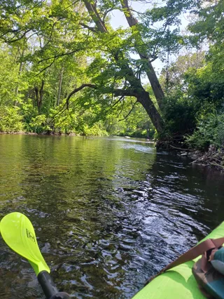 Puddletown Adventures