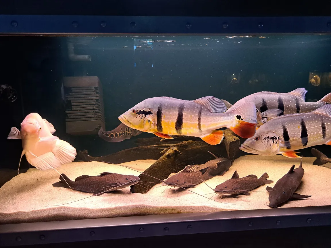 Oceanarium - Kołobrzeg