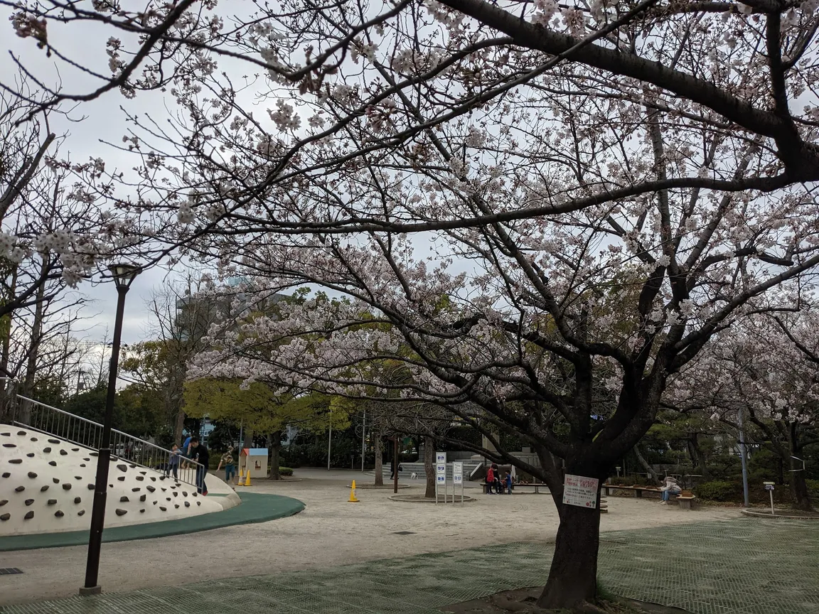 Gyosen Park