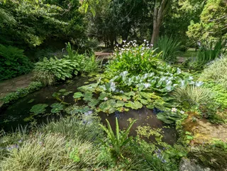 Highdown Gardens