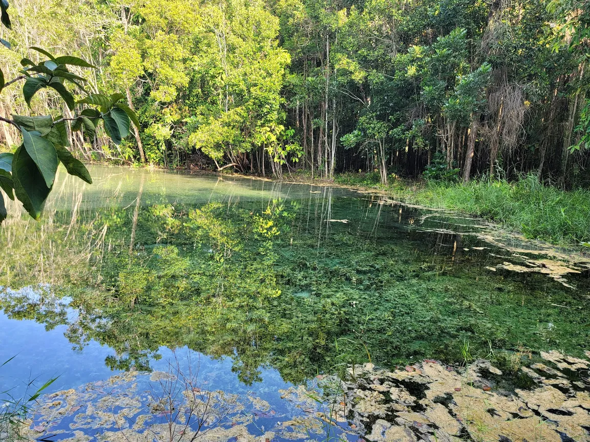Emerald Pool