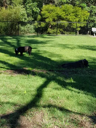 Salisbury Dog Park