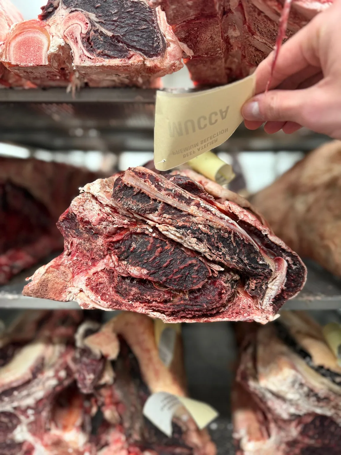 Steakhouse Mucca Kraków | Steak & Wine