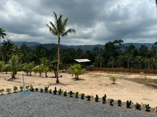 Elephant Jungle Sanctuary Samui (Soi 1 Branch)