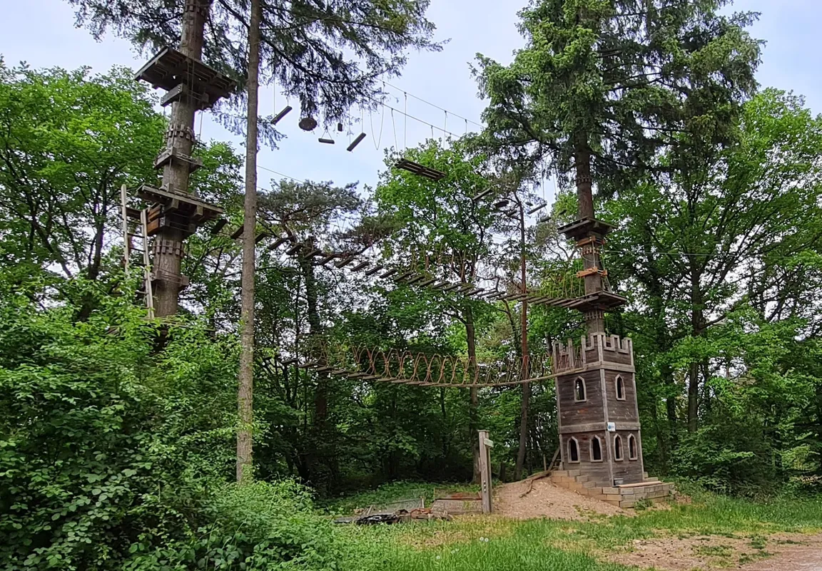 Mosel Adventure Forest