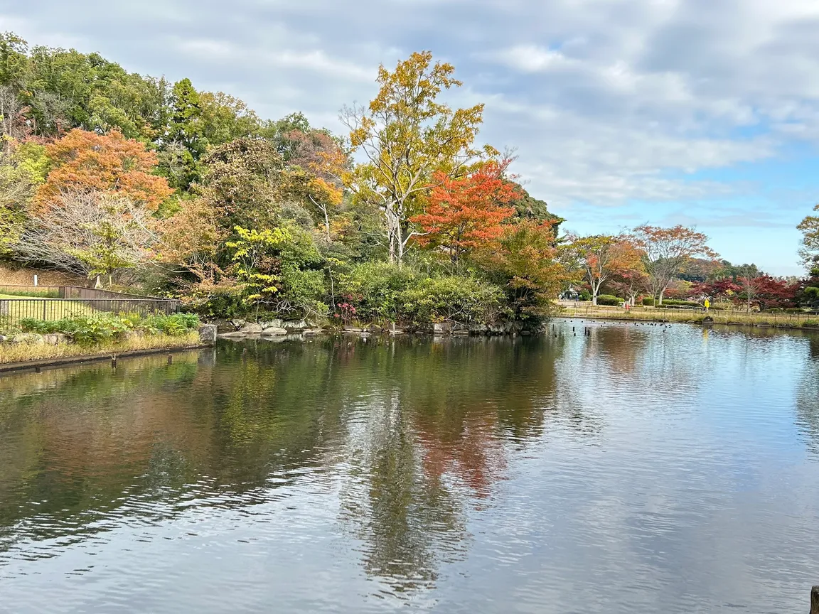 Children's Nature Park