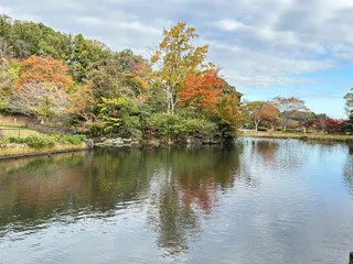 Children's Nature Park