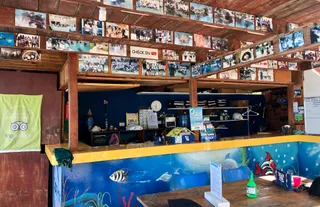 Coral Point Diving