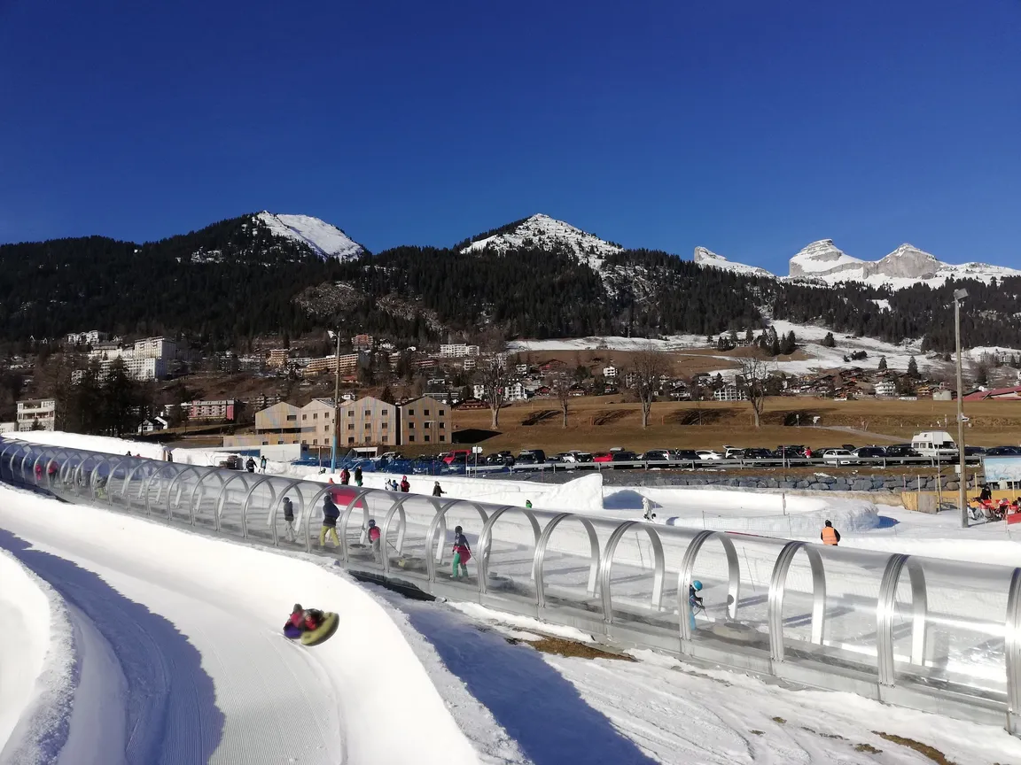 Tobogganing Park