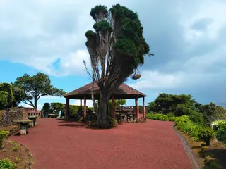 Miradouro da Ponta da Madrugada