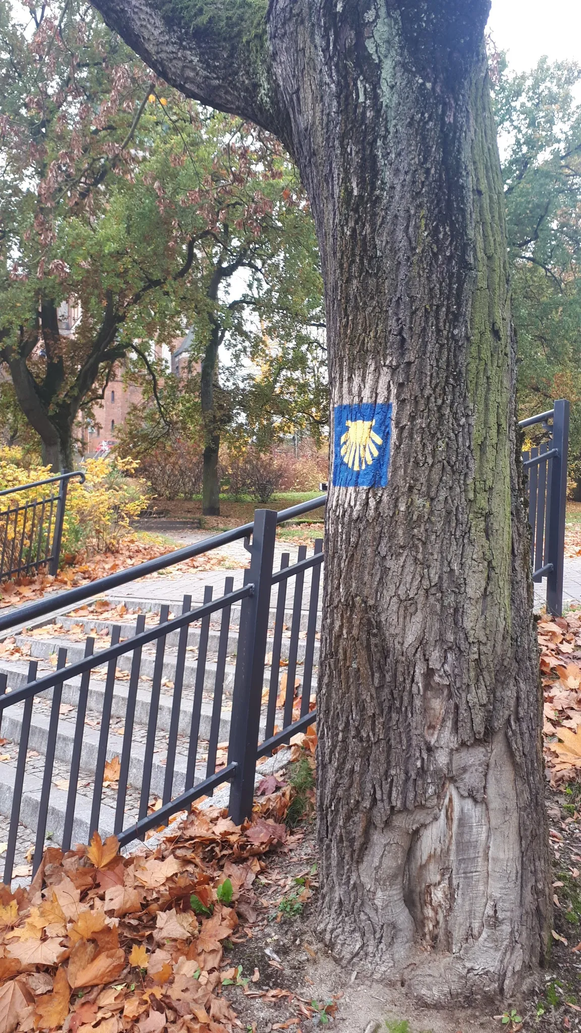 Szlak św Jakuba