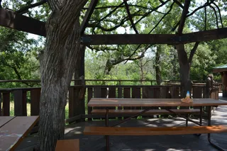 Pepper Family Treehouse