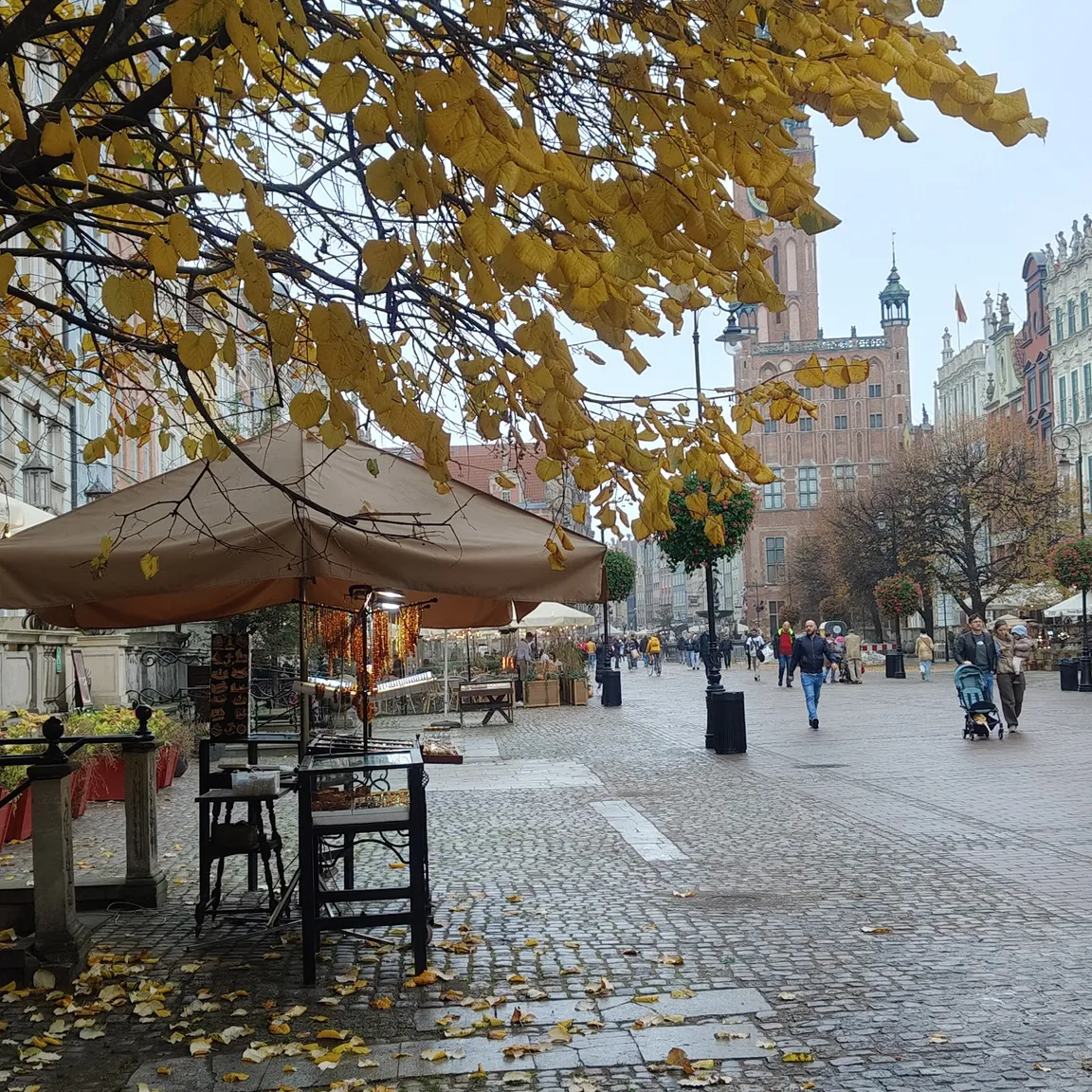Złota Kamienica