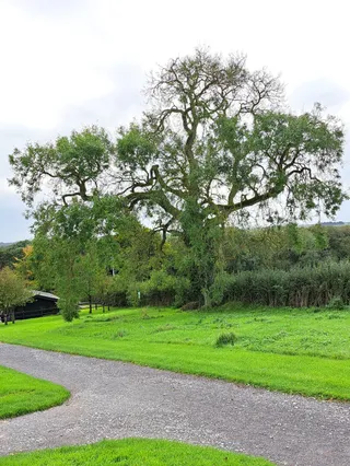 Newgrange