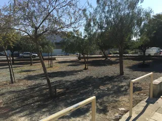G Park