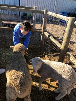 Tarnasey Farm