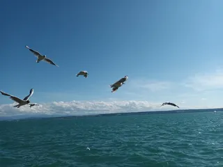 Bodensee Aussichts -Promenade Meersburg