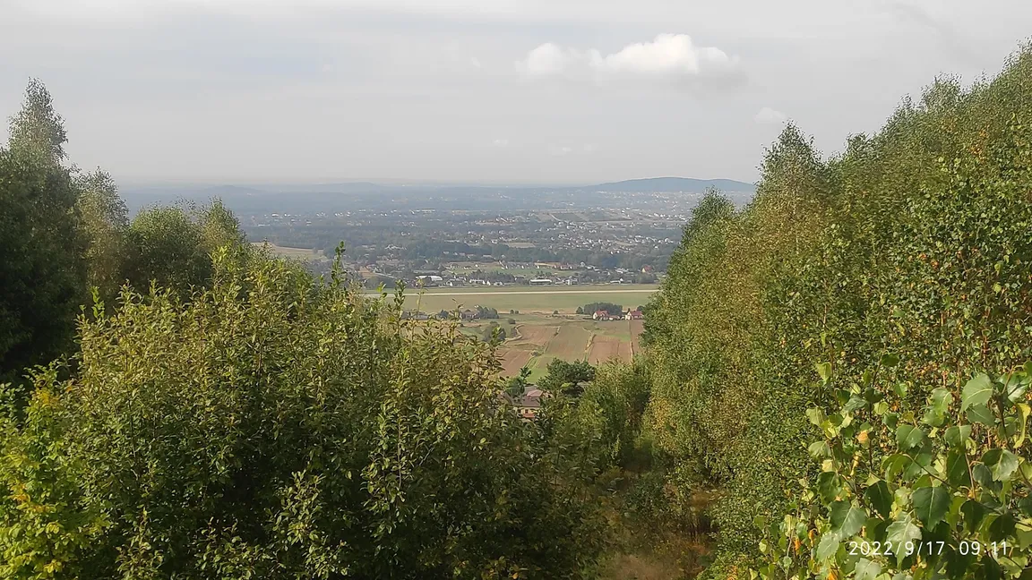 Klonówka
