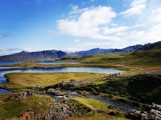 Kjarnaskógur