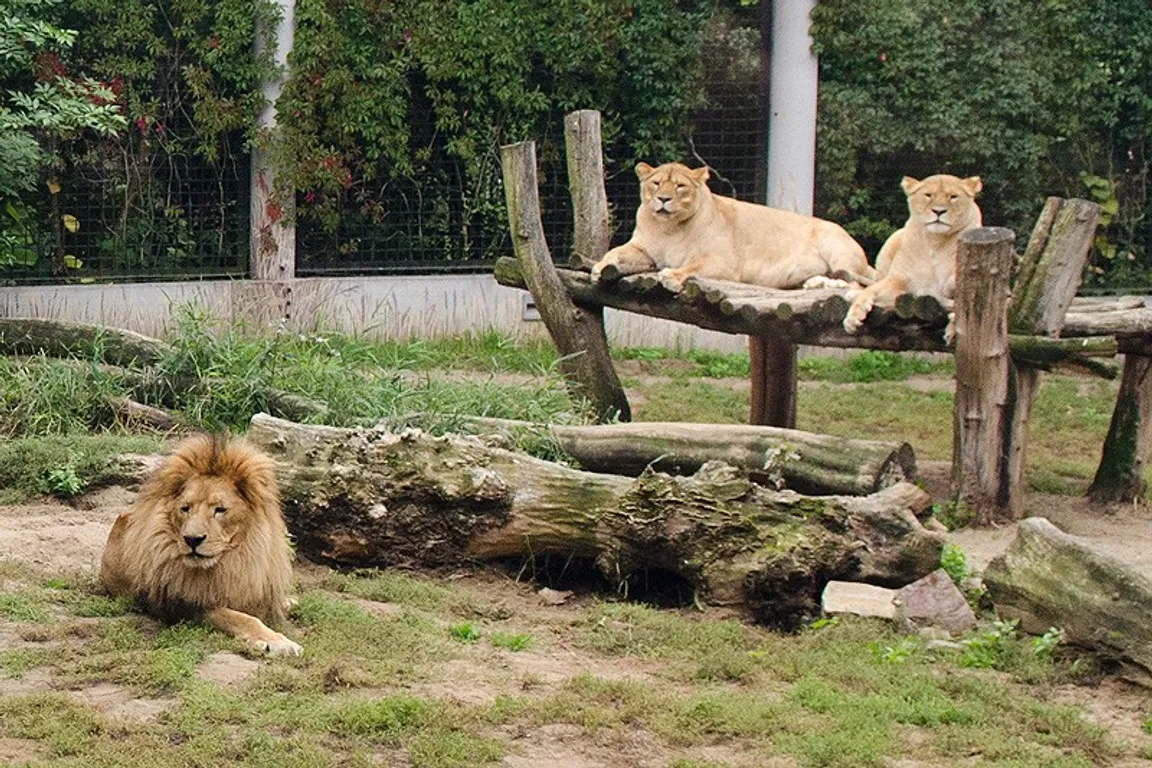 MIEJSKI OGRÓD ZOOLOGICZNY W PŁOCKU Sp. z o.o.