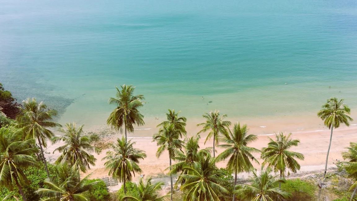 Coconut Beach