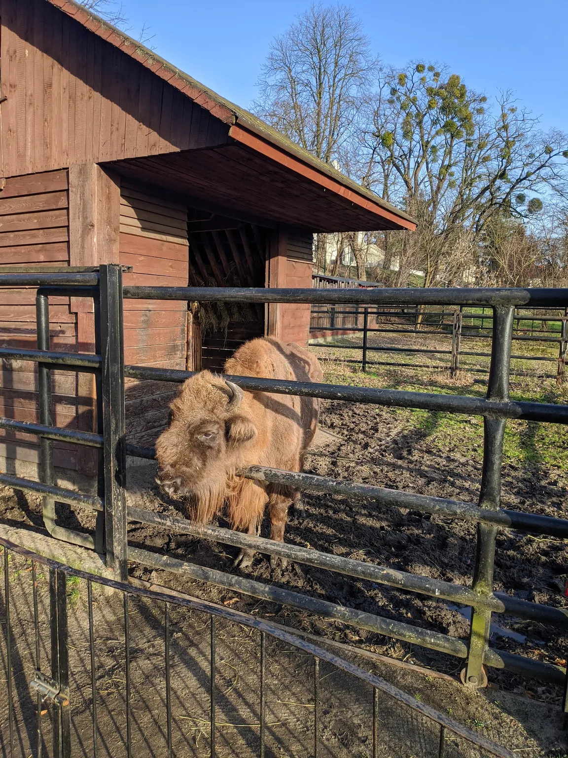 Ogród Zoobotaniczny w Toruniu