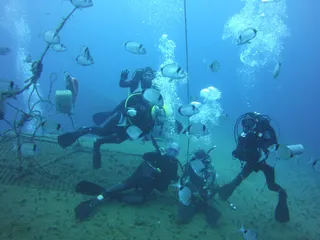 TD Diving