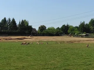 Park Dzikich Zwierząt