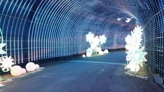 Nesta Illumina - light of walk road -