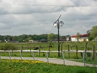 Zalew w Radzyniu Podlaskim